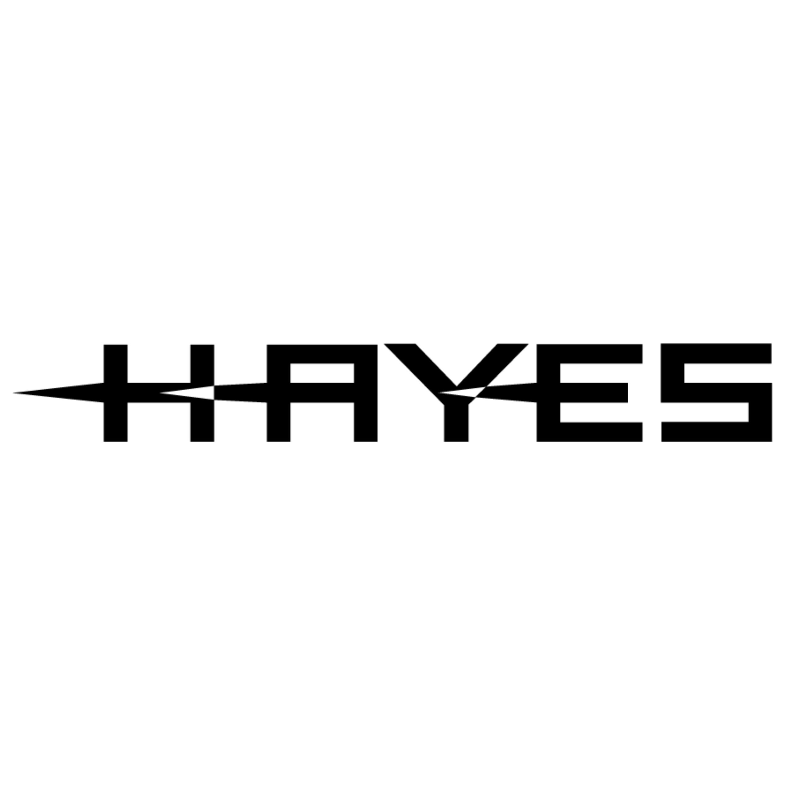 Logo Hayes